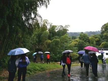 秋雨微凉